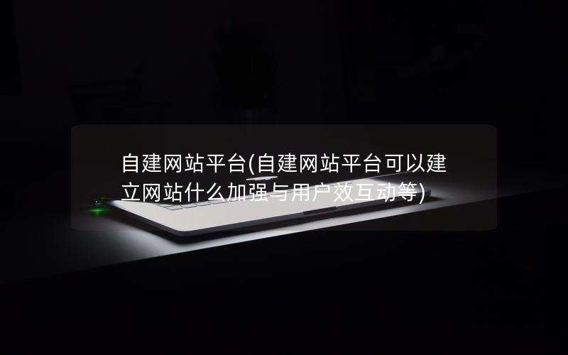 自建网站平台(自建网站平台可以建立网站什么加强与用户效互动等)
