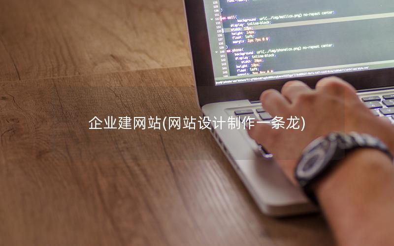 企业建网站(网站设计制作一条龙)