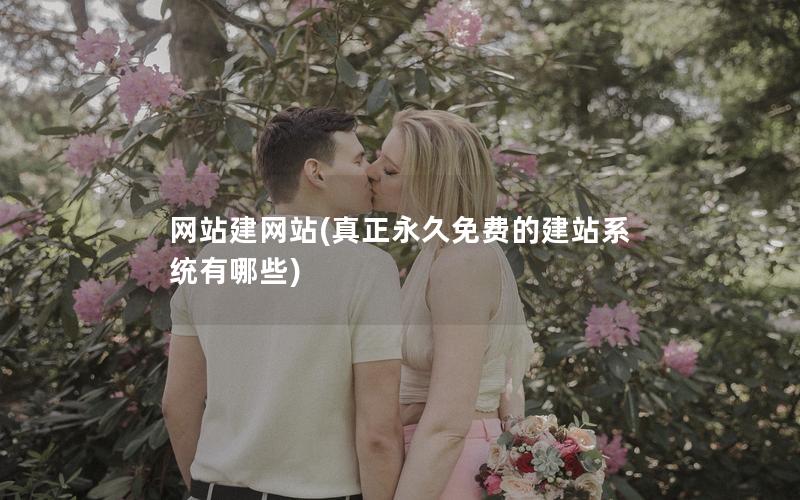 网站建网站(真正永久免费的建站系统有哪些)