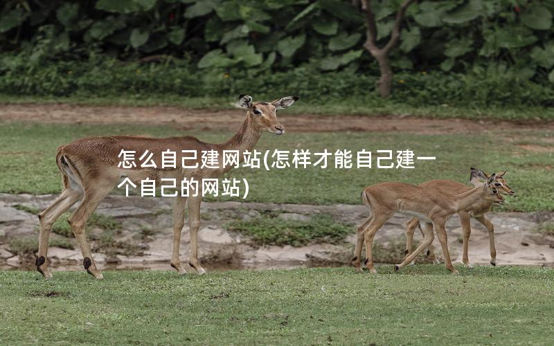 怎么自己建网站(怎样才能自己建一个自己的网站)