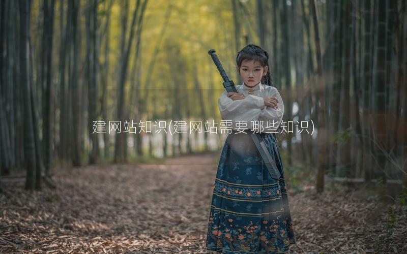 建网站知识(建网站需要哪些知识)