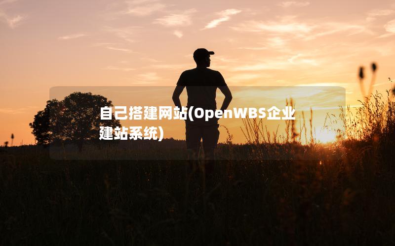自己搭建网站(OpenWBS企业建站系统) 自己搭建网站(OpenWBS企业建站系统)