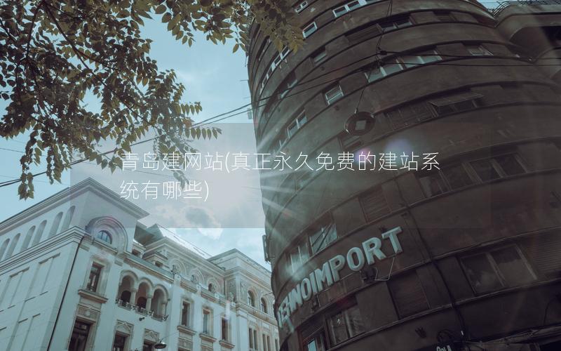 青岛建网站(真正永久免费的建站系统有哪些)