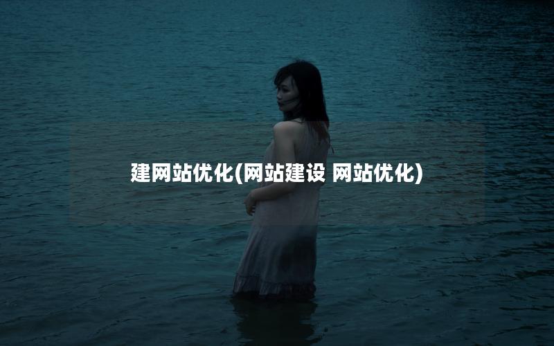 建网站优化(网站建设 网站优化)