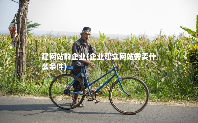 建网站的企业(企业建立网站需要什么条件)