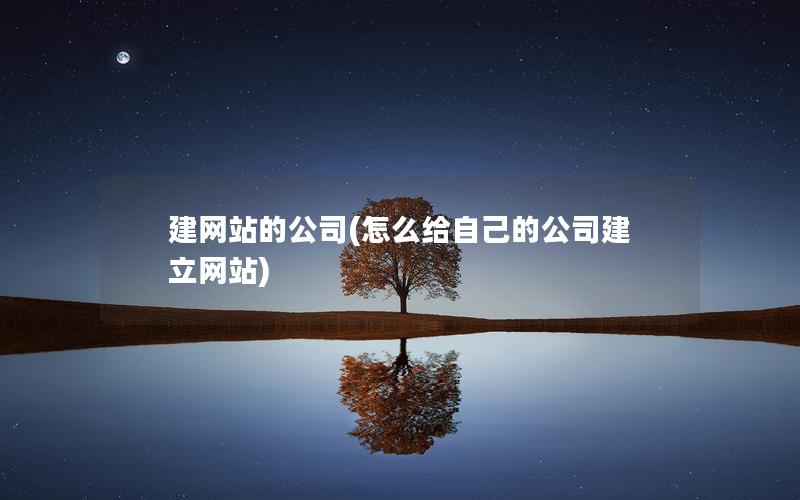 建网站的公司(怎么给自己的公司建立网站)