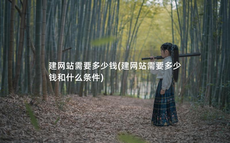 建网站需要多少钱(建网站需要多少钱和什么条件)