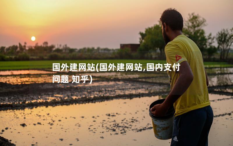 国外建网站(国外建网站,国内支付问题 知乎)