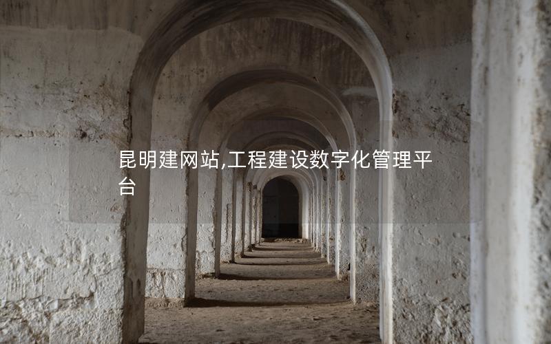 昆明建网站,工程建设数字化管理平台