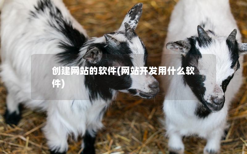 创建网站的软件(网站开发用什么软件)