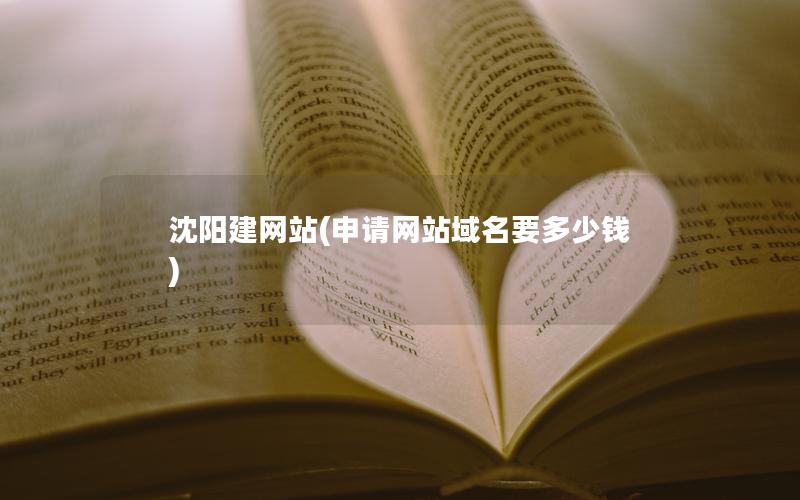 沈阳建网站(申请网站域名要多少钱)