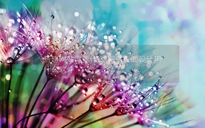搭建网站需要什么;网站页面设计用什么软件 搭建网站需要什么;网站页面设计用什么软件