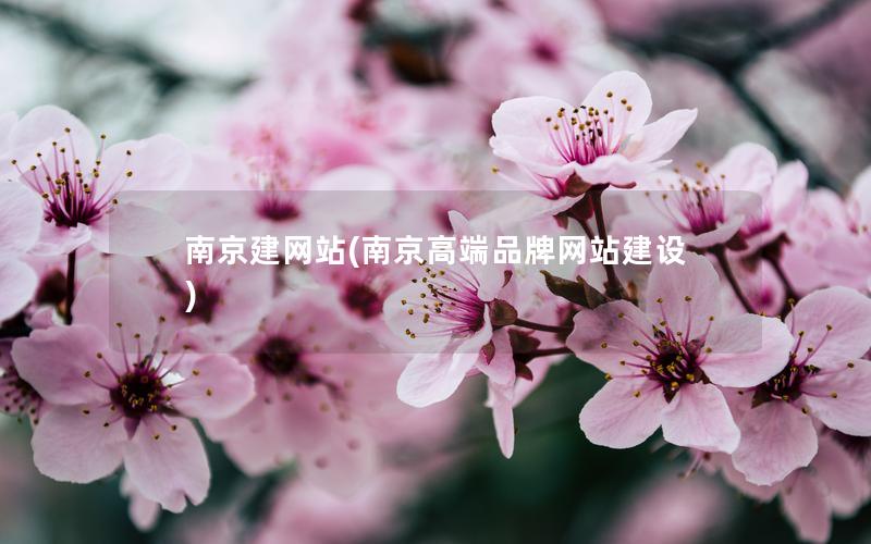 南京建网站(南京高端品牌网站建设)