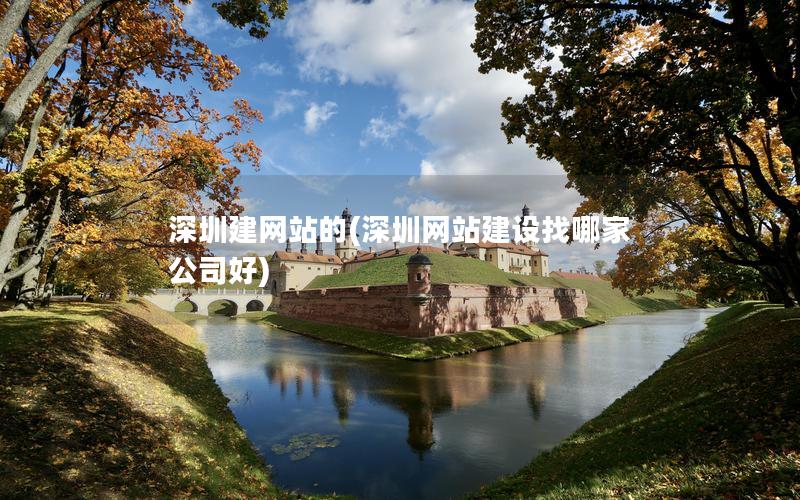 深圳建网站的(深圳网站建设找哪家公司好)