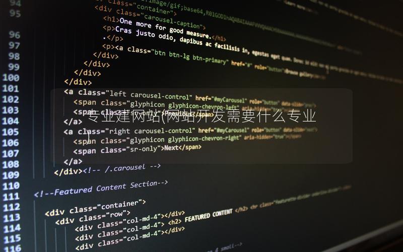 专业建网站(网站开发需要什么专业) 专业建网站(网站开发需要什么专业)