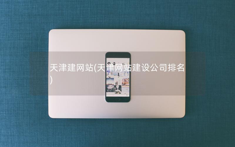 天津建网站(天津网站建设公司排名)