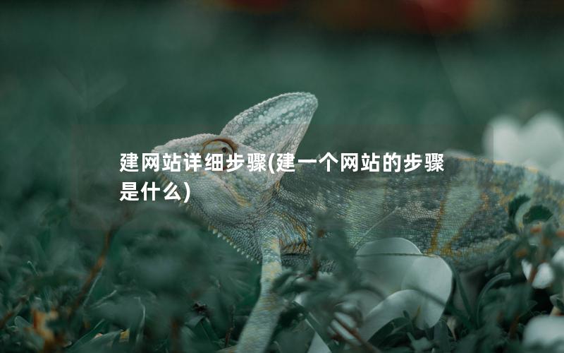 建网站详细步骤(建一个网站的步骤是什么) 建网站详细步骤(建一个网站的步骤是什么)